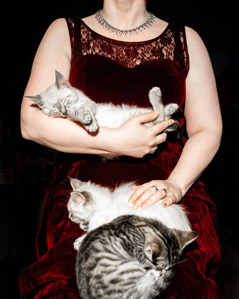 12/365 - mother of kittens